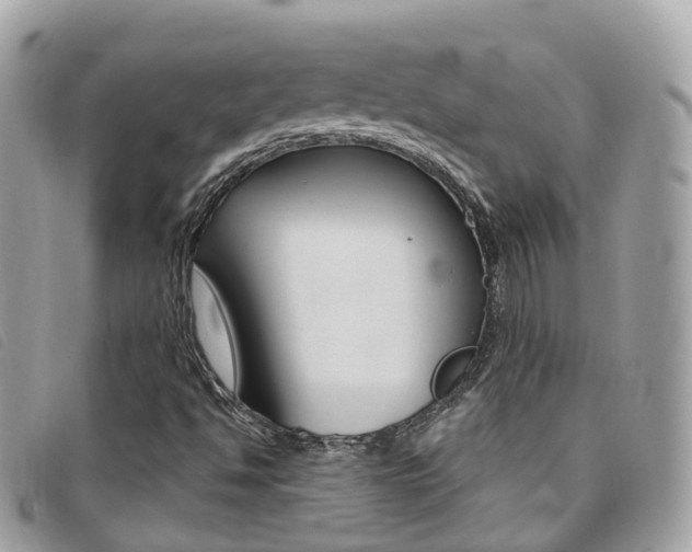X0000095911494200801110815