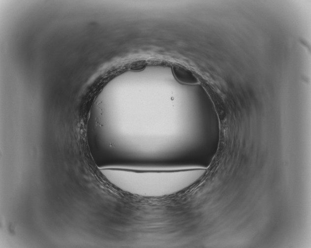 X0000095911495200801110815