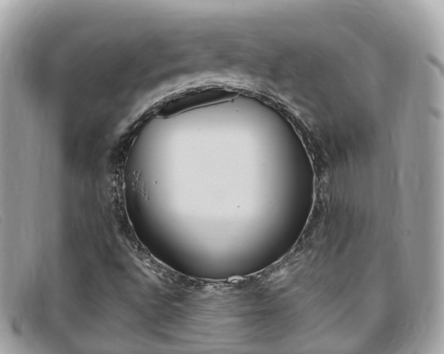 X0000095911496200801110815
