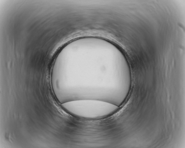 X0000095911498200801110815
