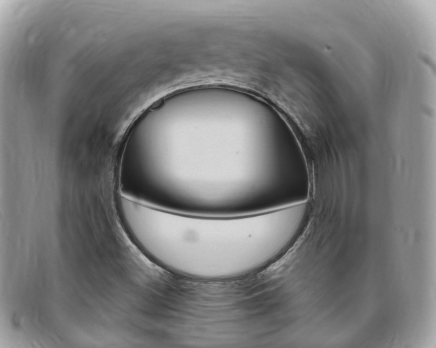X0000095911500200801110815