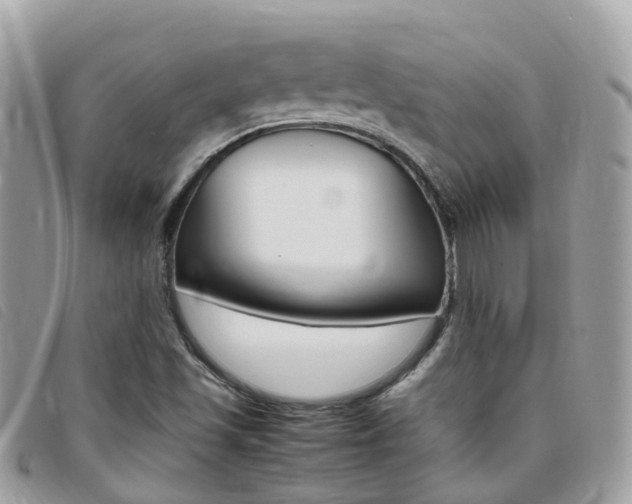 X0000095911501200801110815
