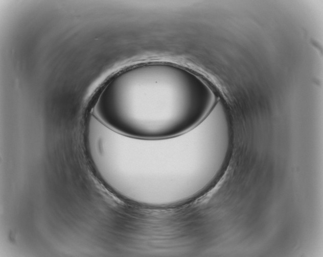 X0000095911502200801110815