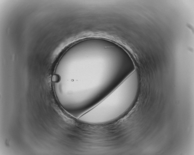 X0000095911503200801110815