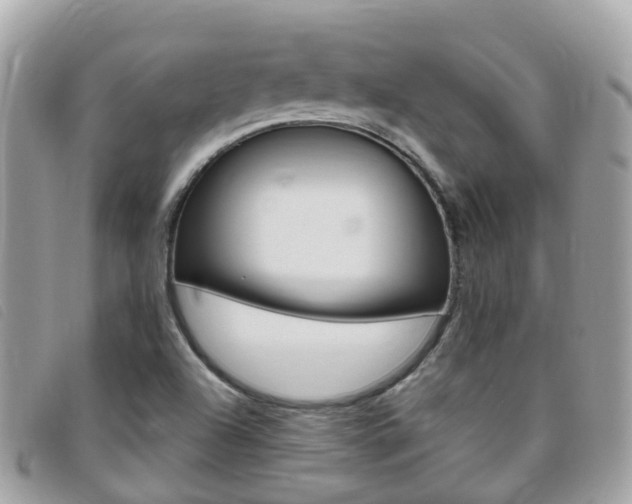 X0000095911504200801110815