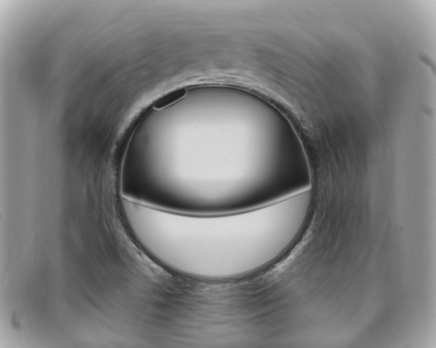 X0000095911506200801110815