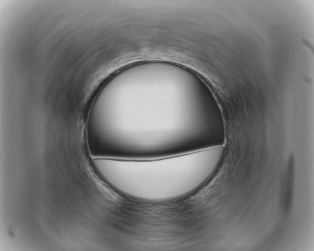 X0000095911507200801110815