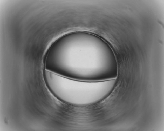 X0000095911508200801110816