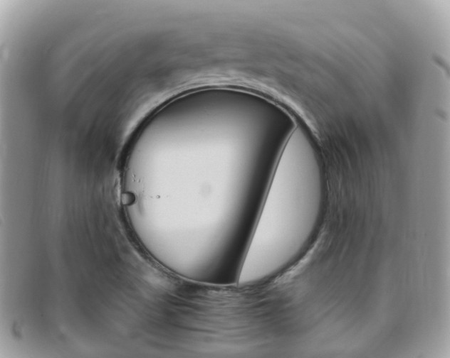 X0000095911509200801110816