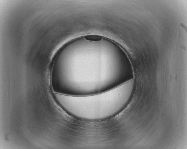 X0000095911510200801110816