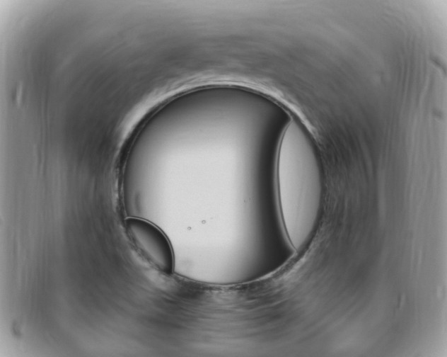 X0000095911511200801110816