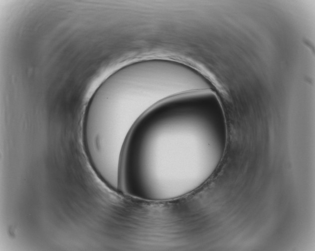 X0000095911512200801110816