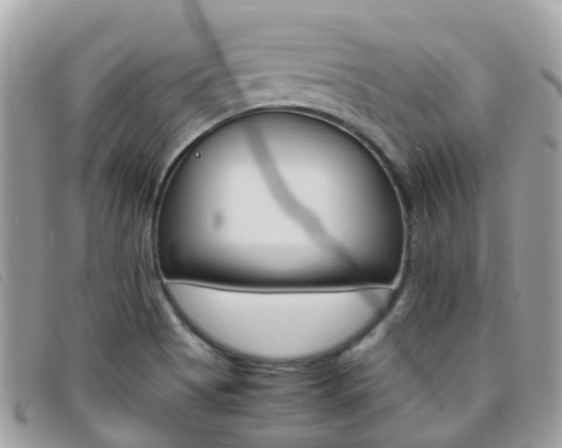 X0000095911513200801110816