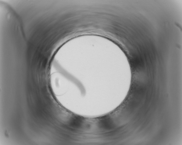 X0000095911514200801110816
