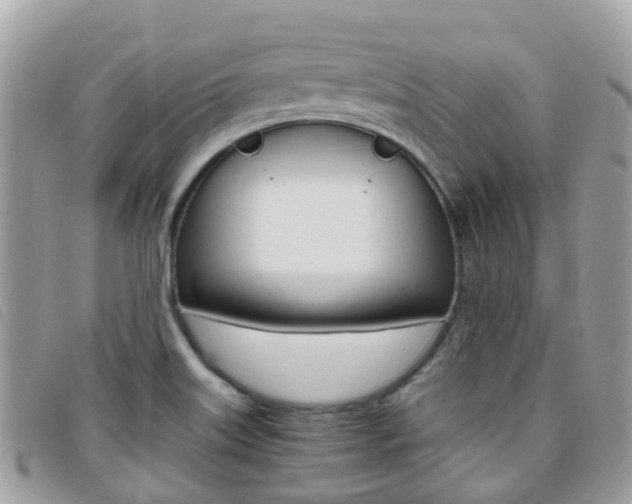 X0000095911515200801110816