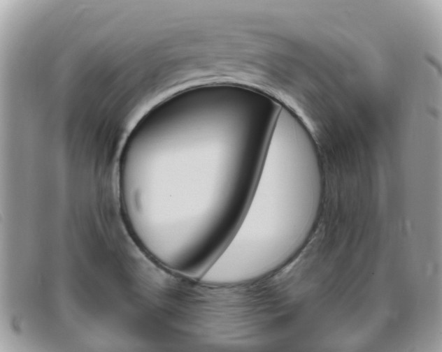 X0000095911516200801110816
