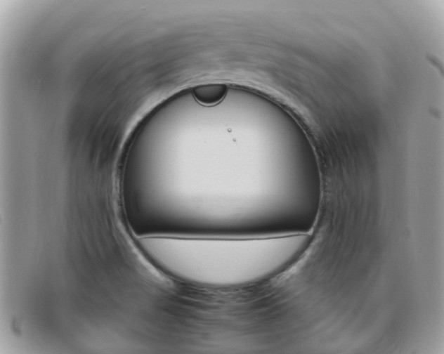 X0000095911517200801110816