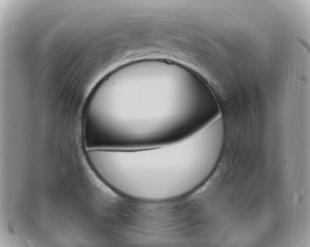 X0000095911518200801110816