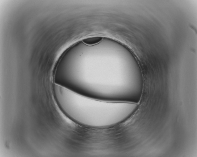 X0000095911519200801110816