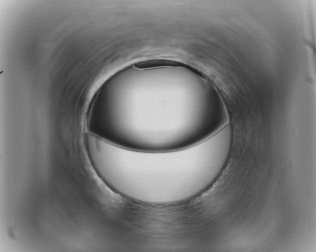 X0000095911520200801110816