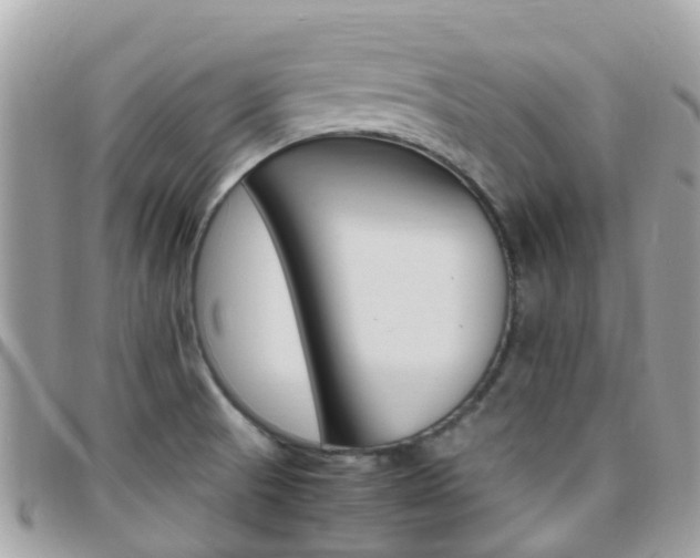 X0000095911521200801110816