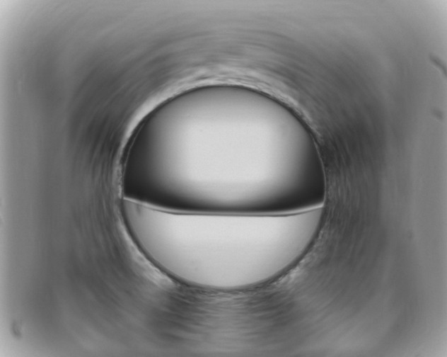 X0000095911522200801110816