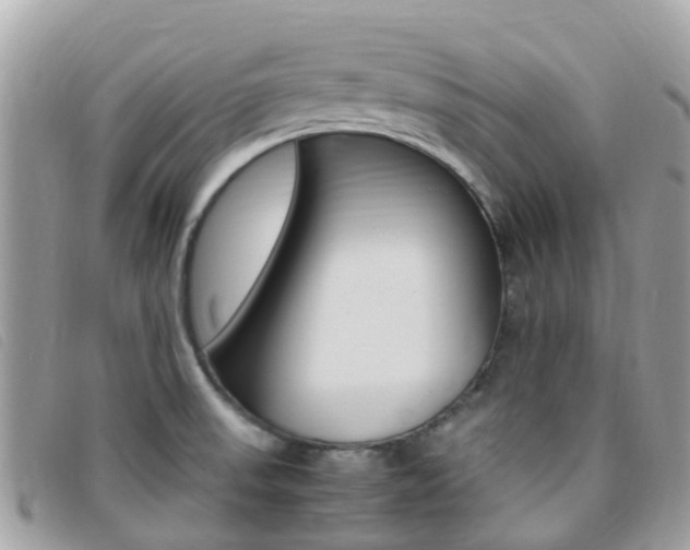 X0000095911523200801110816