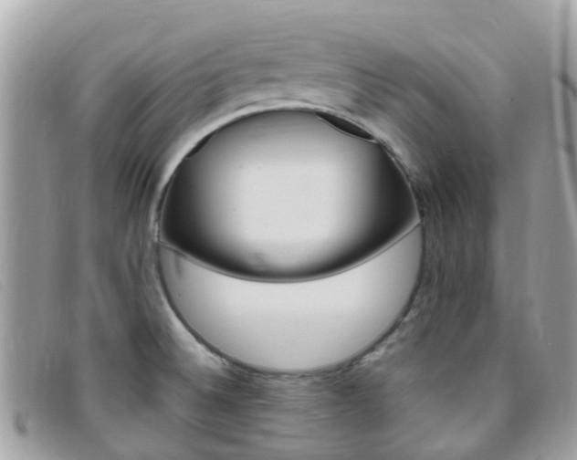 X0000095911524200801110816