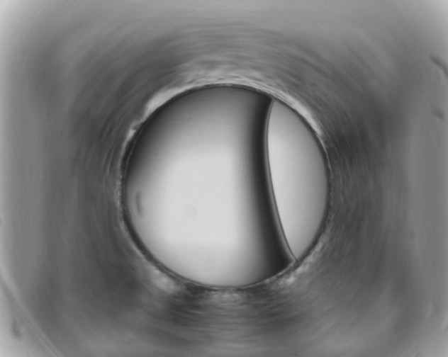 X0000095911525200801110816