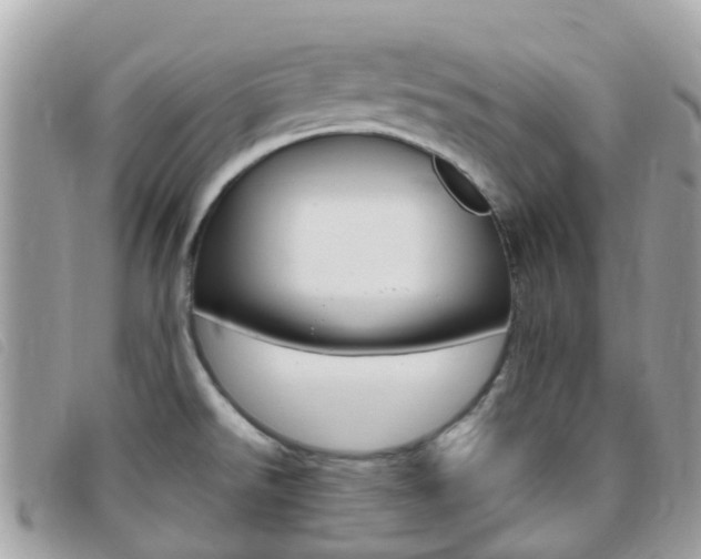 X0000095911526200801110816