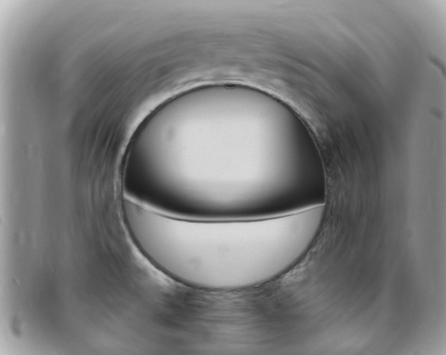 X0000095911527200801110816