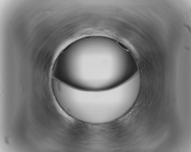 X0000095911528200801110816