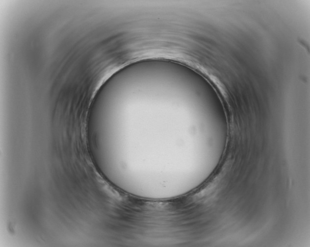 X0000095911529200801110816