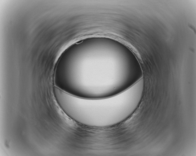 X0000095911530200801110816