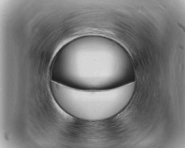X0000095911531200801110816