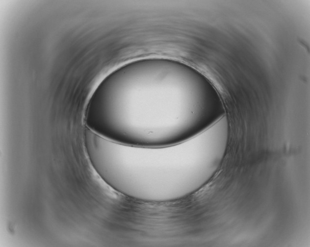 X0000095911532200801110816
