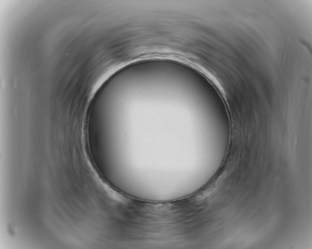 X0000095911533200801110816