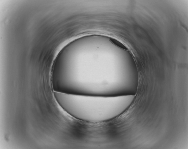 X0000095911535200801110816