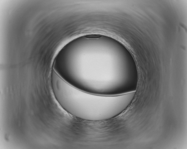 X0000095911536200801110816