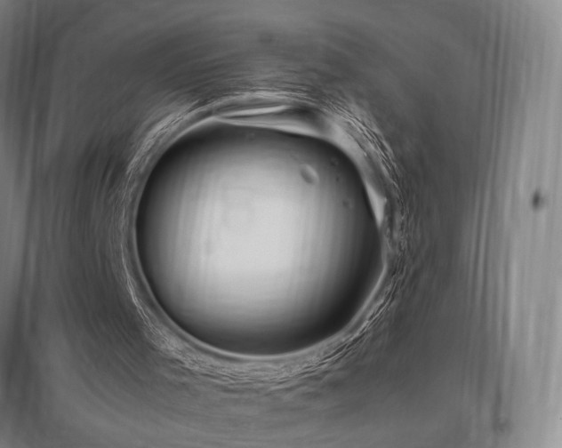 X0000095910001200801111243