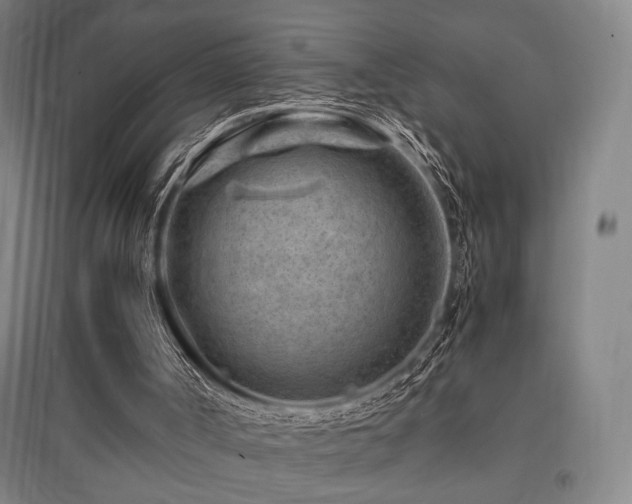 X0000095910002200801111243