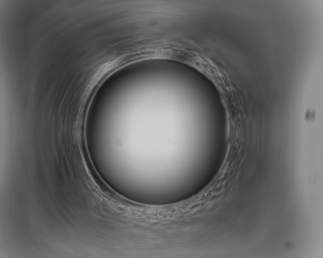 X0000095910003200801111243