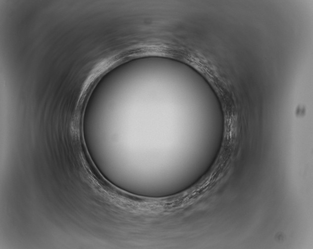 X0000095910004200801111243