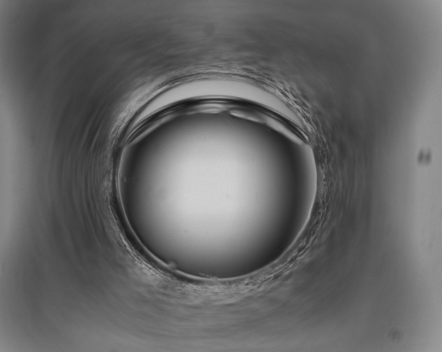 X0000095910005200801111243