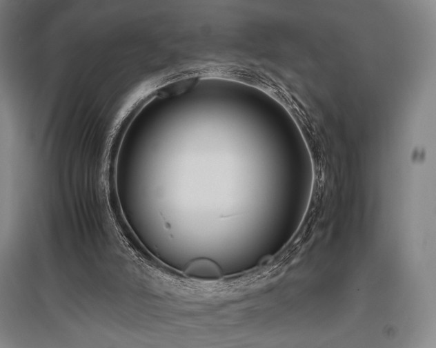 X0000095910006200801111243