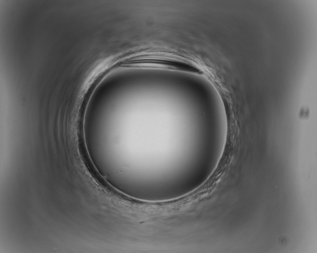 X0000095910007200801111243