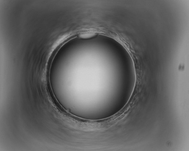 X0000095910008200801111243