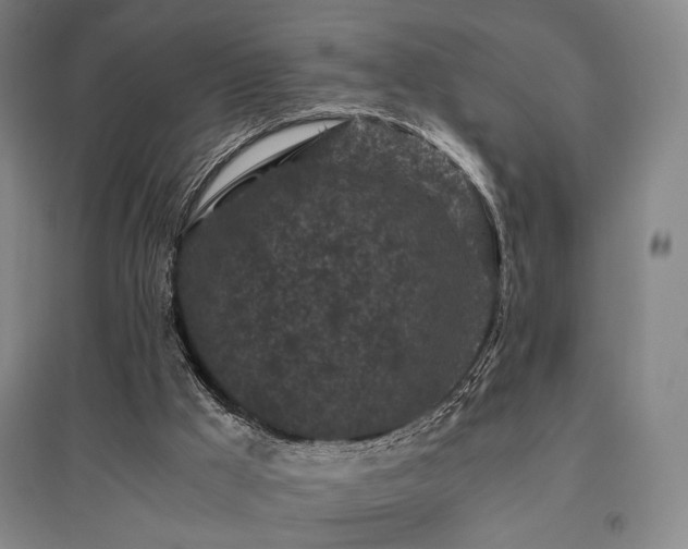 X0000095910009200801111243