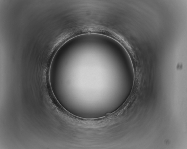 X0000095910010200801111243