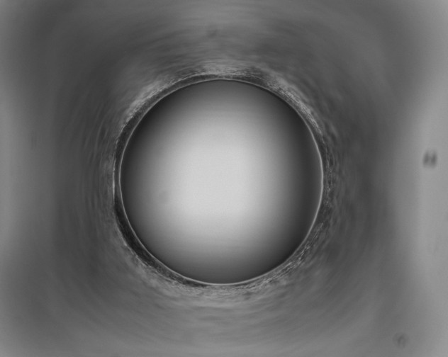 X0000095910011200801111243